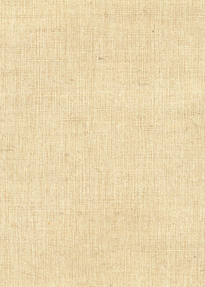 Alaina Wheat (LF) (NR-B1B)