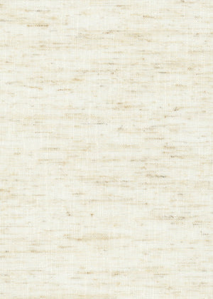 Alessi Beige (Sheer) (ALE01)