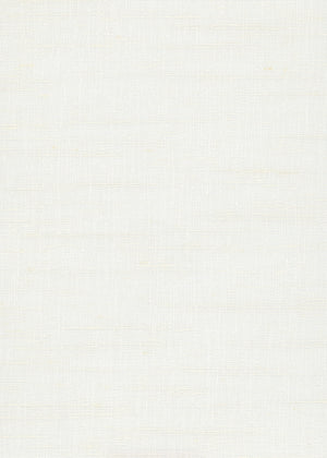 Alessi Cotton (Sheer) (ALE05)