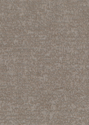 Alma Silver (ALM02)