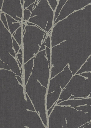 Arbor Shade (LF) (AR02)
