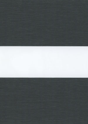 Austin Black (LF) (AUT01)