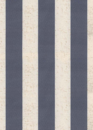 Awning Stripe Blue (AST02R)