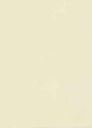 Light-Filtering Beige (Liner) (NRLF-03)
