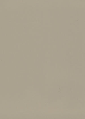 Room-Darkening Beige (Liner) (NRRD-03)