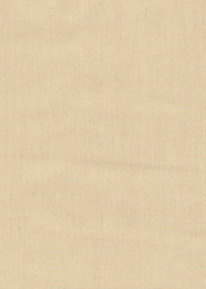 Room-Darkening Beige (BO 02)