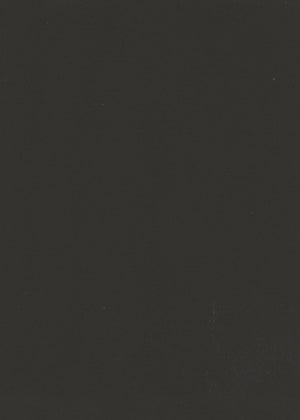 Room-Darkening Black (Liner) (NRRD-09)