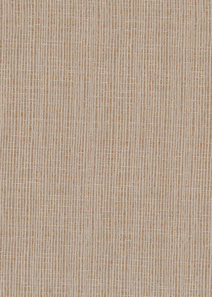 Blaine Camel (BLN02)
