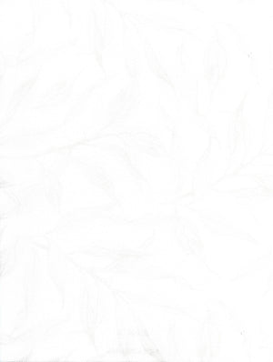 Blossom Winter (LF) (BLO05)