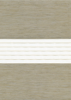 Bridgeport Latte (RD) (BGP01)