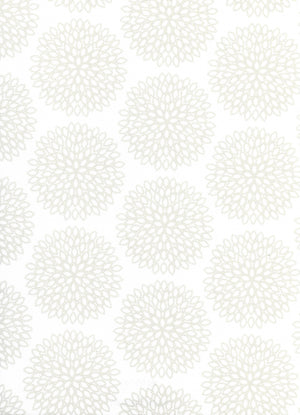Burst Morning (RD) (BUR09B)