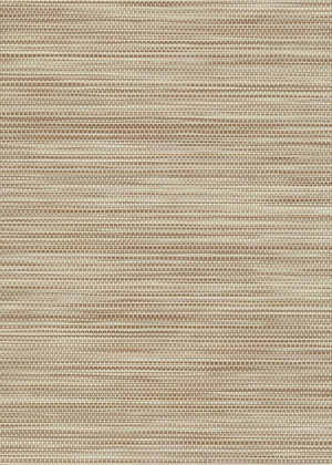 Cadenza Bronze  10 (Solar) (CAD22)