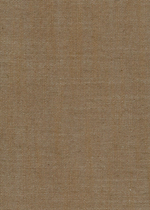 Camellia Olive (CAL02)