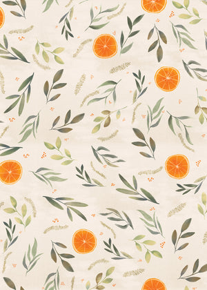 Citrus Clementine (CTR02R)