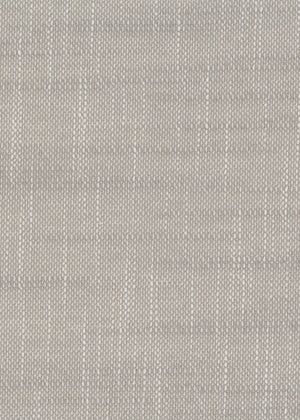 Clemente Gray (CME06)