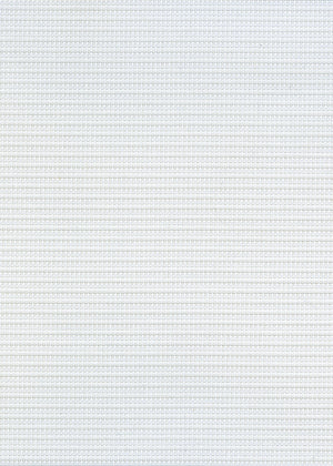 Coda Bright White (LF) (CDA01)