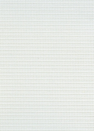 Coda Cream (LF, FR) (CDA02)