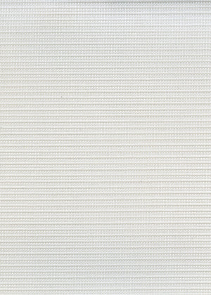 Coda Ivory (LF) (CDA04)