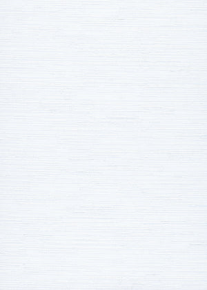 Delaney Ivory (RD) (BDEL01)