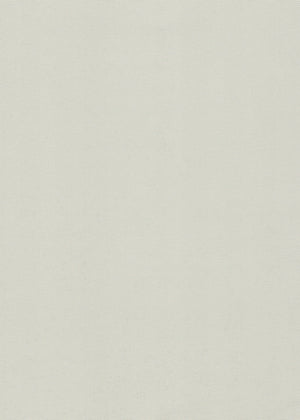 Emily Light Gray (RD) (EM258)