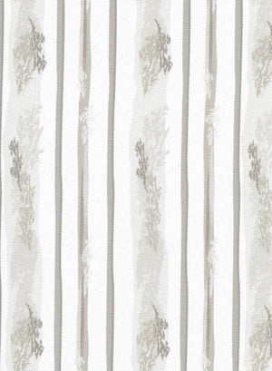 Forest Morning (RD) (FOR08B)