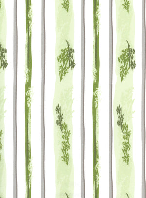 Forest Spring (LF) (FOR02)