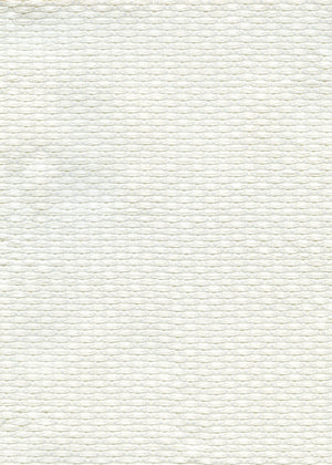 Genoa Bone (BGE01D)
