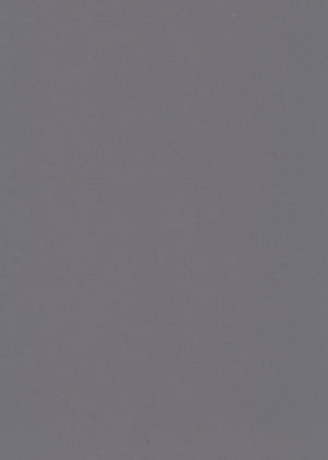 Light-Filtering Gray (Liner) (NRLF-07)