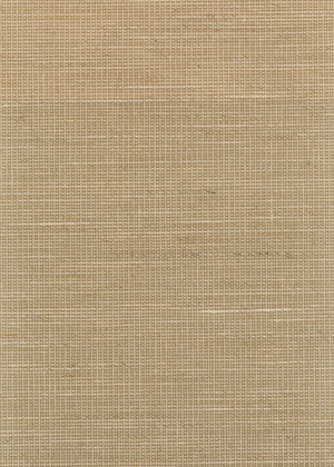 Khai Pine (LF) (KHA04)
