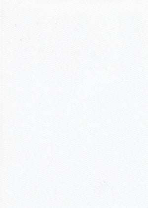 Light-Filtering Ivory (LF03)