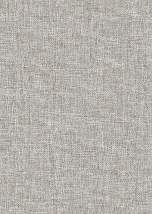 Lima Suede (LF) (LIM25)