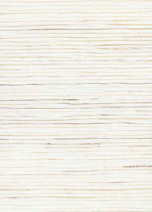 Oceane Coconut (RD) (NR-Y4B-RD)