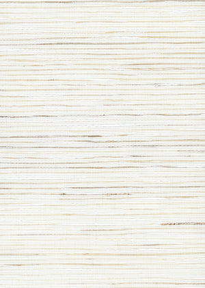Oceane Coconut (UM-Y4BL)