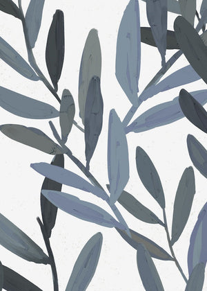 Palmetto Sage (RD) (PMT01B)
