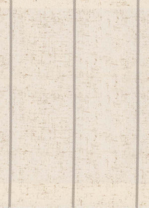 Pin Stripe Gray (PST03R)