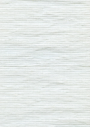 Porter Lace (IN-0970)