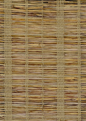 Prairie Sawgrass (IN-1605)
