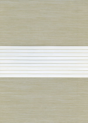 Quinn Sandstone (RD) (QNN03)