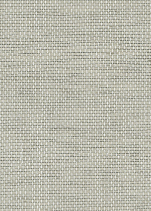 Rahm Gray (LF) (NR-Z3B)