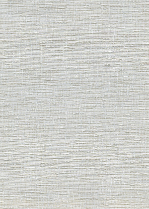 Rialto Light Gray (RI06D)