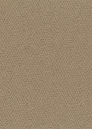 Salina Gold (SLA01)