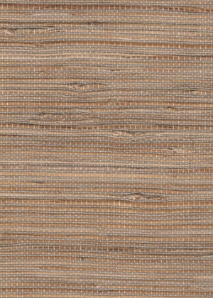 Sanibel Wheat (IN-L005)