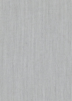 Sheer Gray (SHR08D)