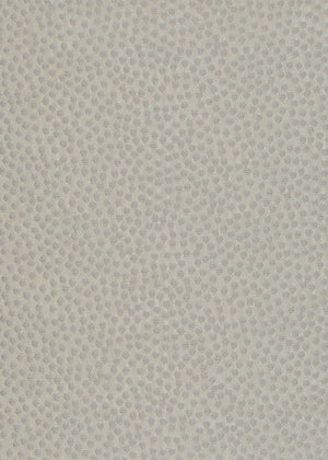 Speckled Fog (SPK01)
