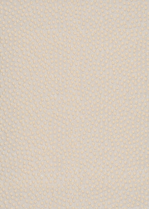 Speckled Ivory (SPK02)