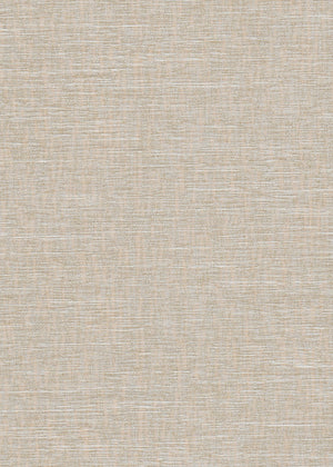 Stucco Seashell (RD) (BST02)