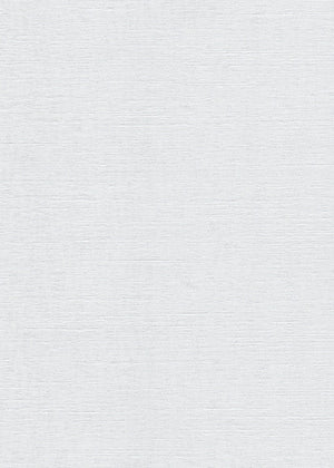 Stucco Whitewash (RD) (BST01)
