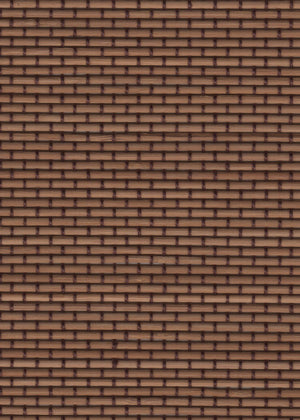Sunshade Brown (IN-0438)