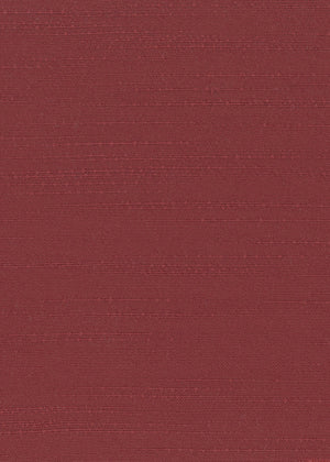 Tilley Currant (TLY04)