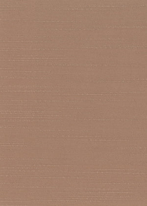 Tilley Tan (TLY09)